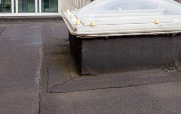 disadvantages of South Clunes flat roofs