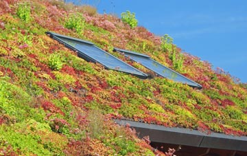 South Clunes living roof systems