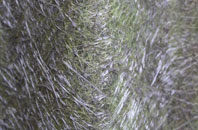 South Clunes fibreglass roof work